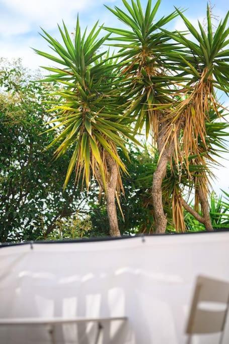La Villa Julia - Calme - Spacieux - Parking Prive - Climatisation マントン エクステリア 写真